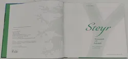 Buch Steyr 