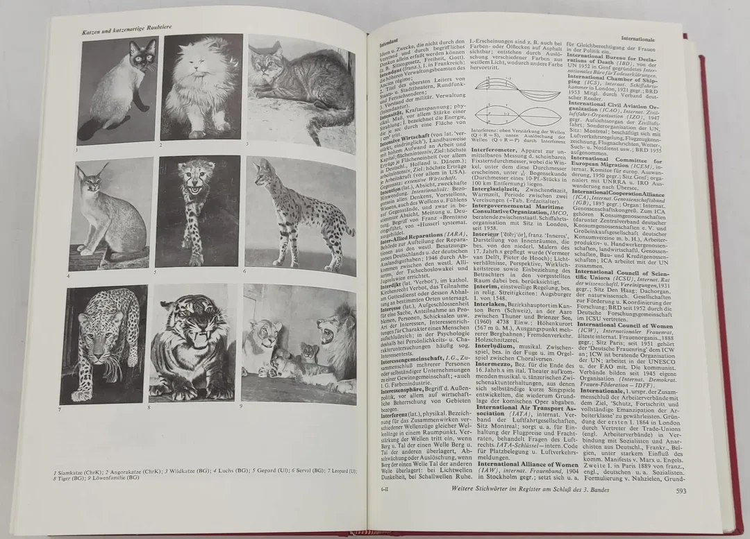 Buch Readers Digest Universal-Lexikon Band 1 bis 3 – Bild 7