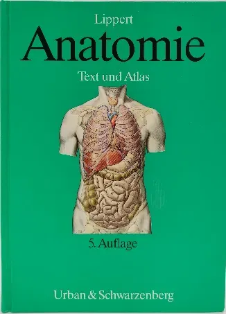 Anatomie - Herbert Lippert - Bild 1