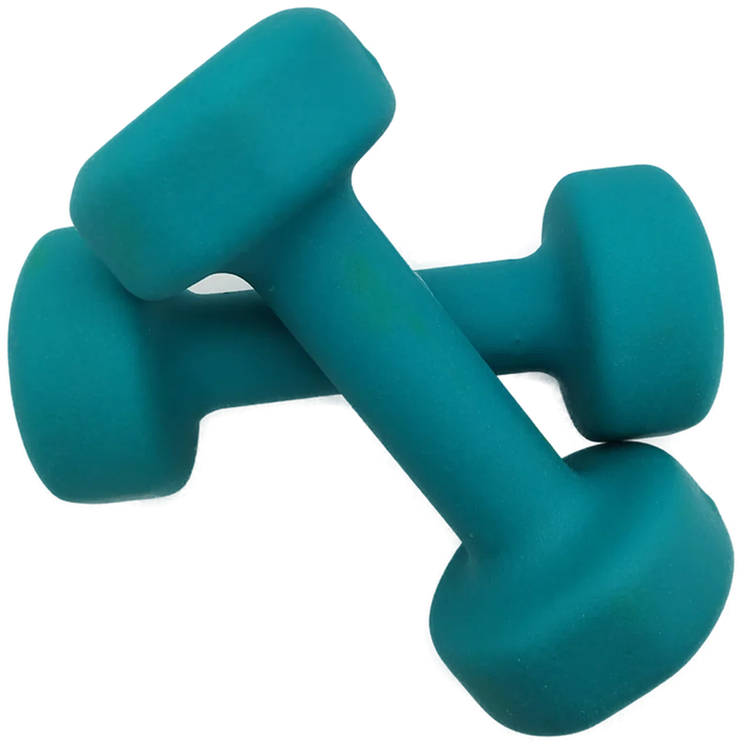 Hanteln Proiron 3 kg | Heimstudio-Begleiter - Bild 4