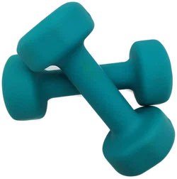 Hanteln Proiron 3 kg | Heimstudio-Begleiter - Bild 1