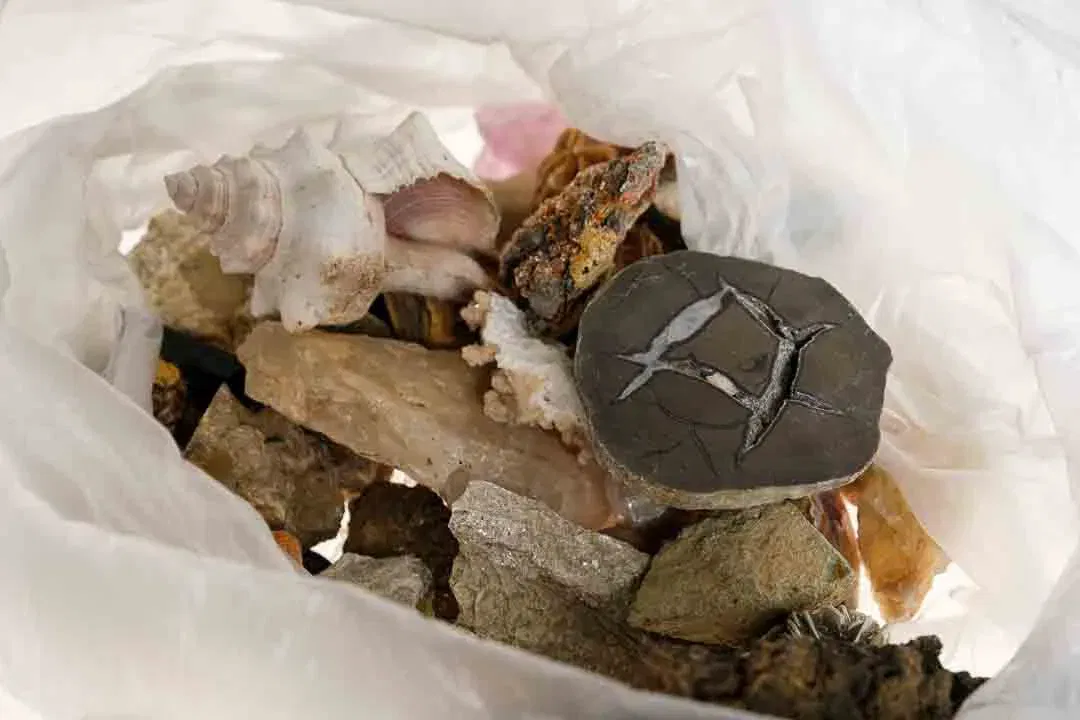 Ein Sack voller Steine: Mineralien- und Fossiliensammlung mit Muschel und Stücken in Sammlerqualität - Bild 1