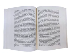 Zwettler Codex 420 – Jesuitenmission in Paraguay 1. Teil - Bild 5