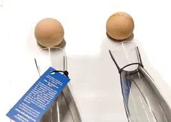 Original ZirbenKugel Doppelpack Mini Edition – Veredeltes Wasser genießen - Bild 2