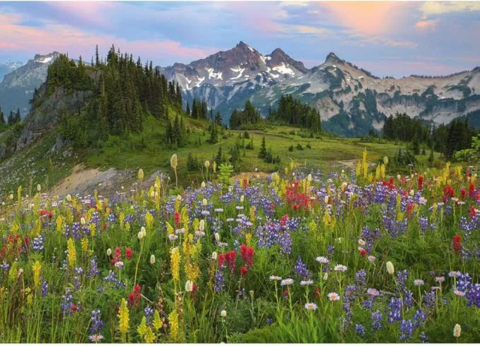 Heye Puzzle 2000 — Edition Alexander von Humboldt — Alpen-Blumenwiese (2000 Teile) – Bild 2