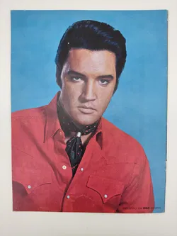 Elvis Presley Souvenir Photobook - 1970 - Bild 5